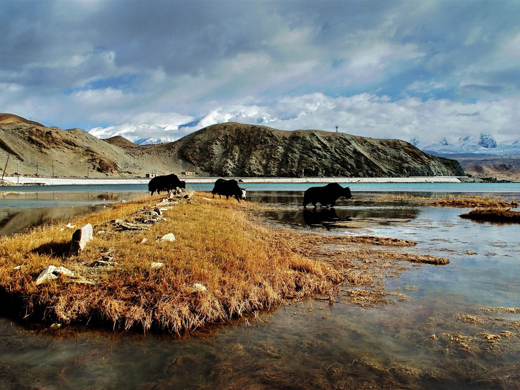 Pamir beaux fonds d'écran paysage HD #11 - 1024x768