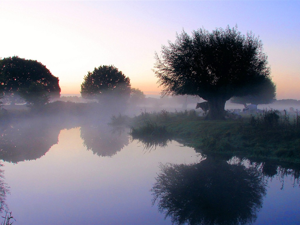 Paysage brumeux matin, Windows 8 écran thème #4 - 1024x768