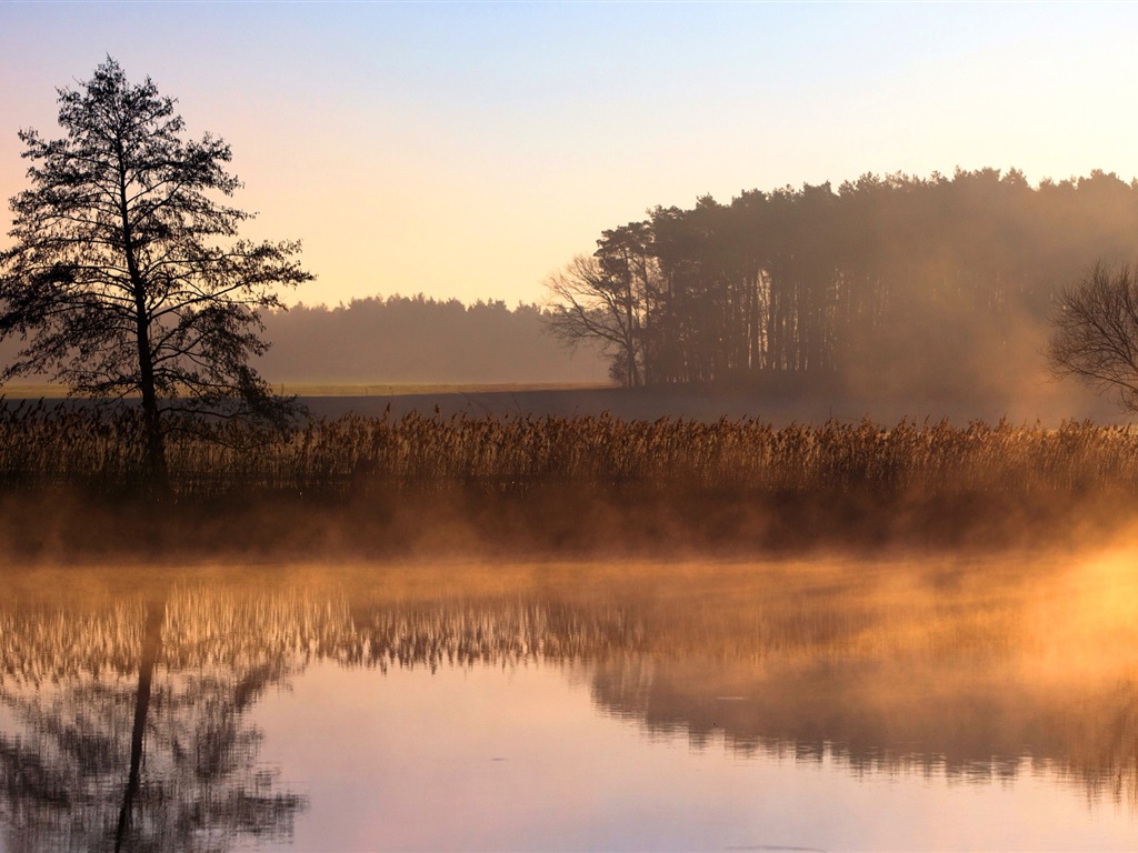 Paysage brumeux matin, Windows 8 écran thème #10 - 1024x768