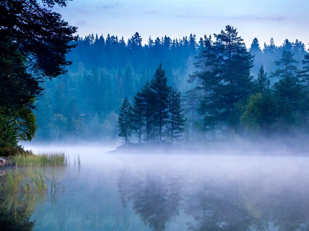 Misty ráno scenérie, Windows 8 téma tapetu #14 - 1024x768