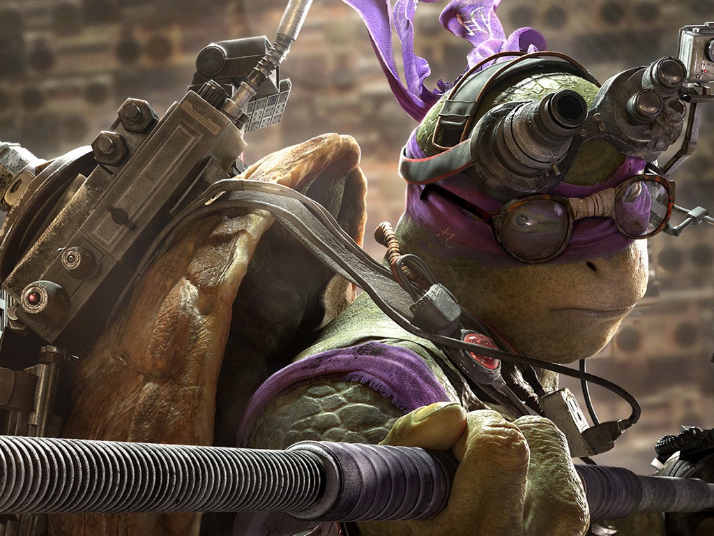 2014 Teenage Mutant Ninja Turtles 忍者神龜高清影視壁紙 #3 - 1024x768
