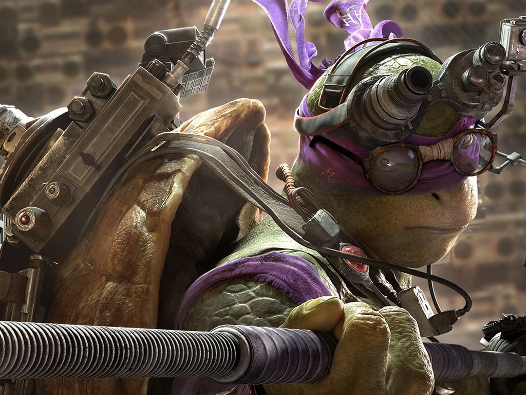 2014 Teenage Mutant Ninja Turtles 忍者神龟 高清影视壁纸3 - 1024x768