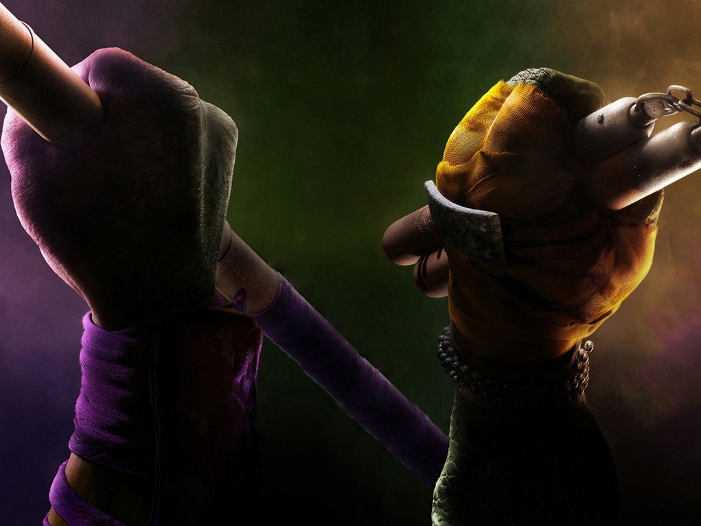 2014 Teenage Mutant Ninja Turtles 忍者神龜高清影視壁紙 #10 - 1024x768