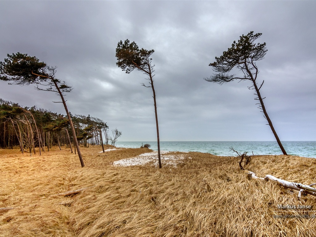德國美麗的海岸風景，Windows 8 高清壁紙 #18 - 1024x768