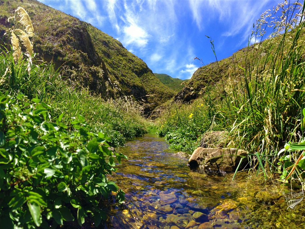 Impresionantes paisajes de Nueva Zelanda, Windows 8 tema fondos de pantalla #8 - 1024x768