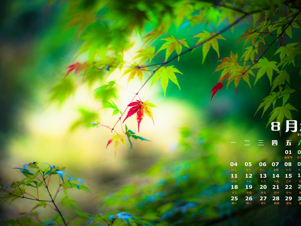 2014年8月 月曆壁紙(一) #8 - 1024x768