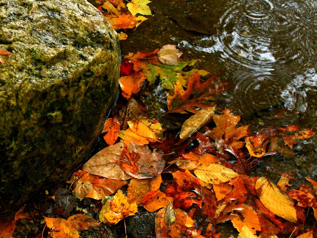 Téma Voda, Windows 8 HD tapety na plochu #13 - 1024x768