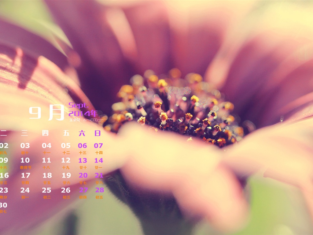 September 2014 Calendar wallpaper (1) #16 - 1024x768