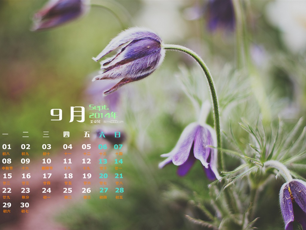 September 2014 Calendar wallpaper (1) #17 - 1024x768