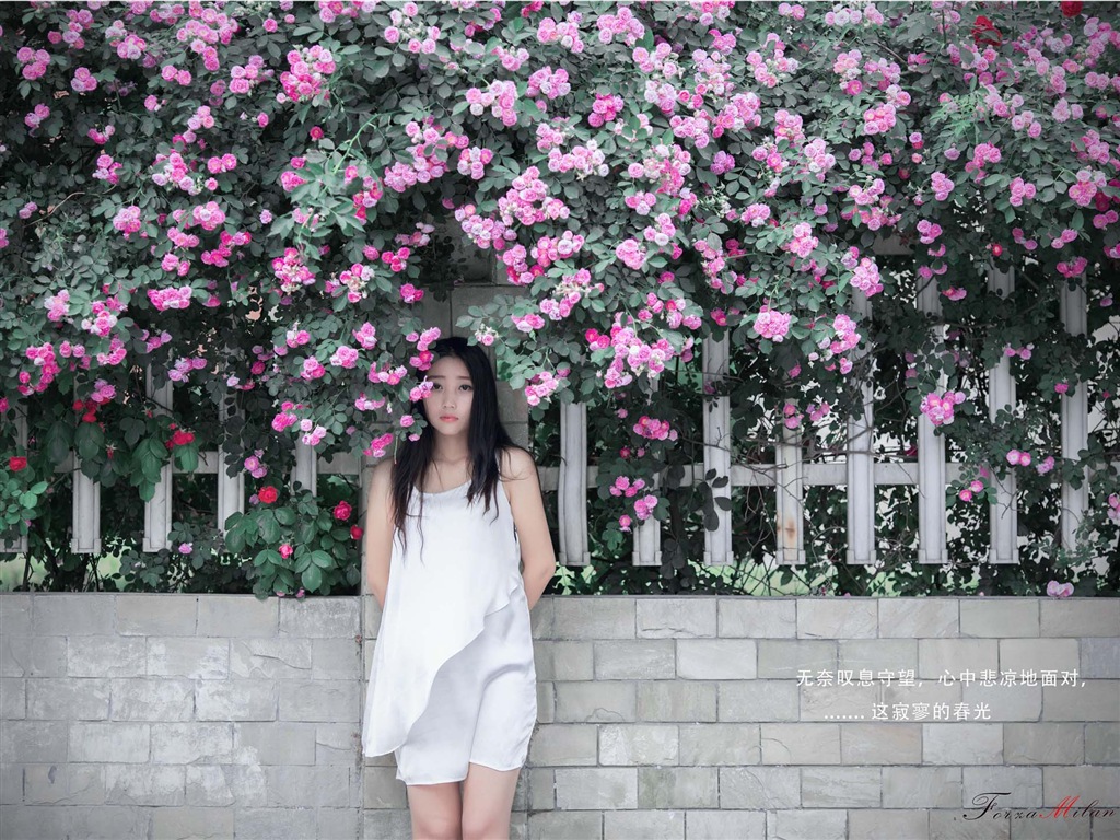 Hermosa chica con fondos de pantalla de alta definición de flores rosas #7 - 1024x768