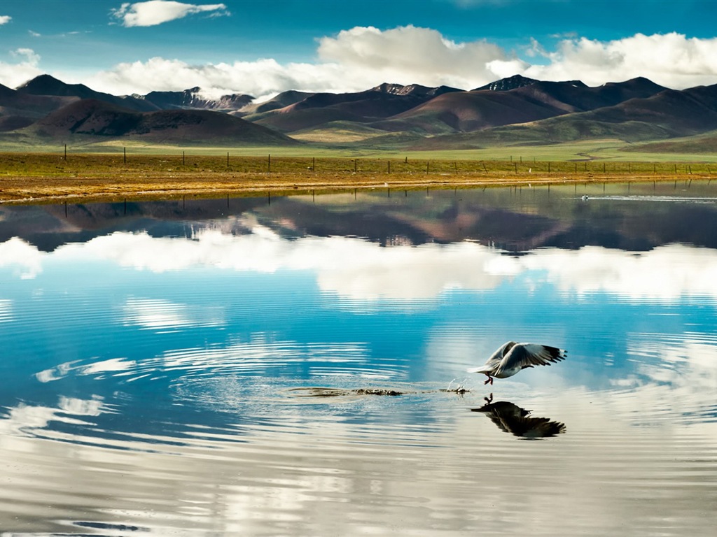 Qinghai Plateau krásné scenérie tapety #2 - 1024x768