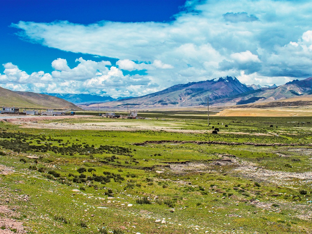 Plateau Qinghai beau fond d'écran de paysage #20 - 1024x768