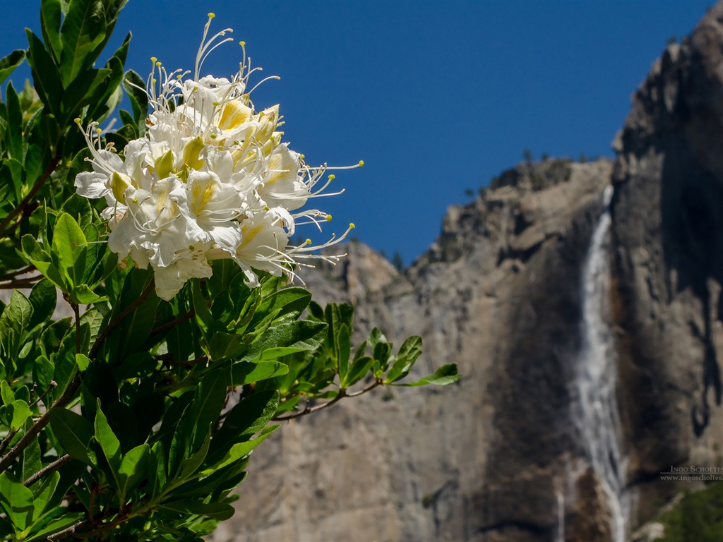 Windows 8 thème, Parc national de Yosemite fonds d'écran HD #4 - 1024x768