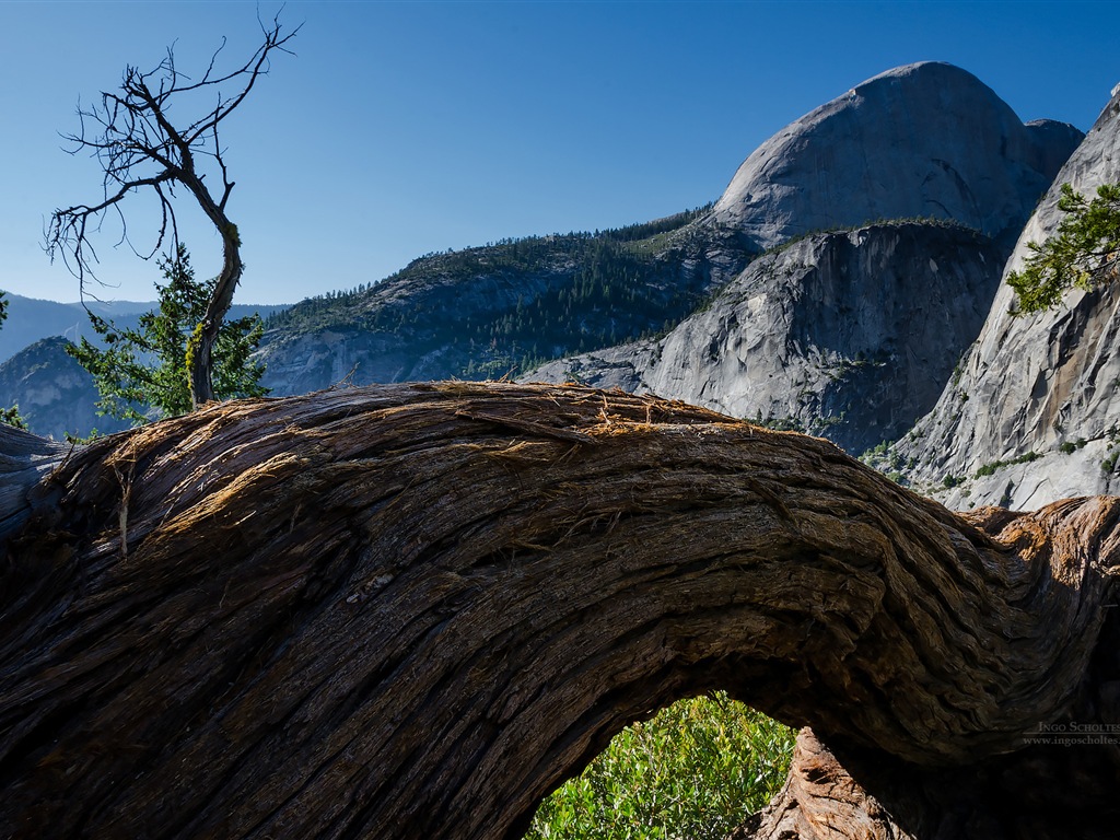 Windows 8 téma, Národní park Yosemite HD tapety na plochu #7 - 1024x768