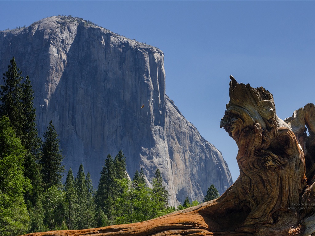 Windows 8 thème, Parc national de Yosemite fonds d'écran HD #10 - 1024x768