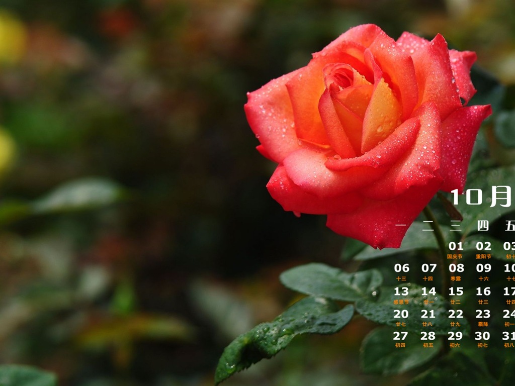 2014年10月 月曆壁紙(一) #12 - 1024x768