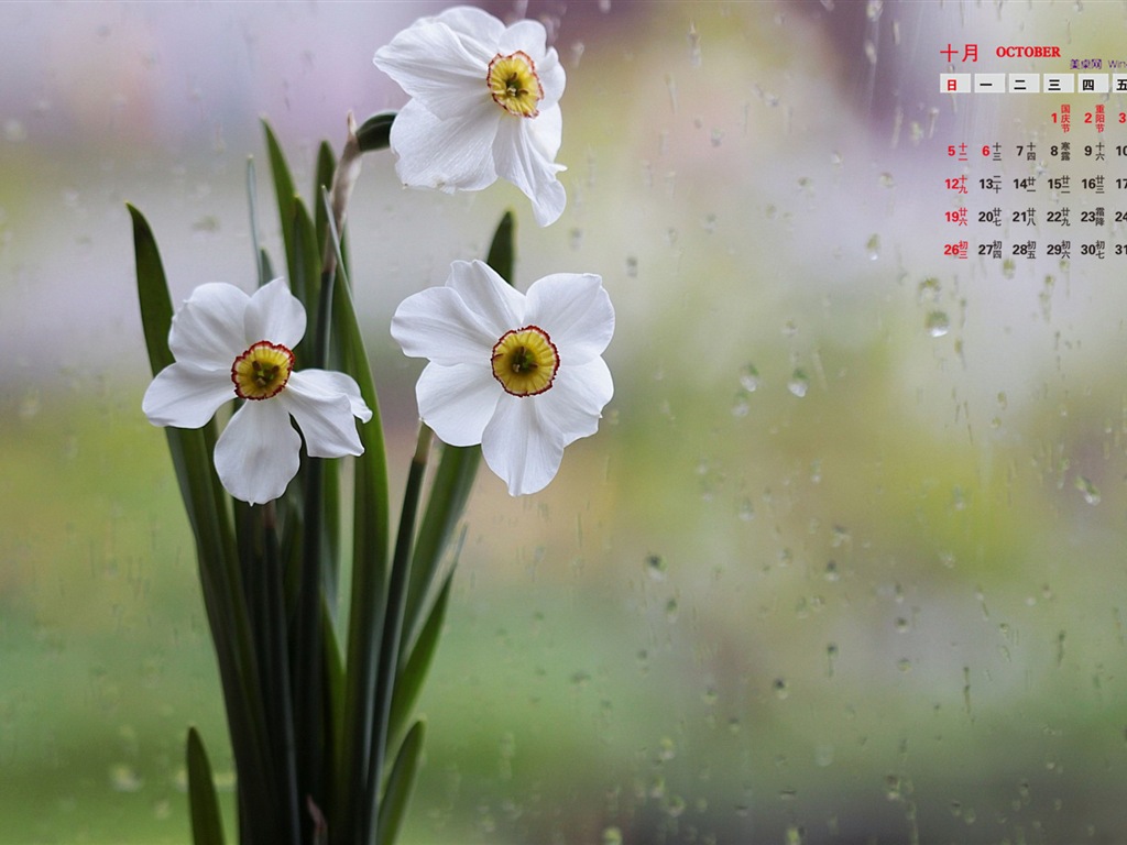 10 2014 wallpaper Calendario (1) #16 - 1024x768