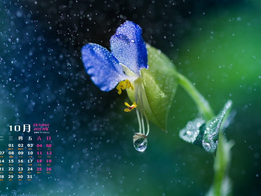 10 2014 wallpaper Calendario (1) #17 - 1024x768