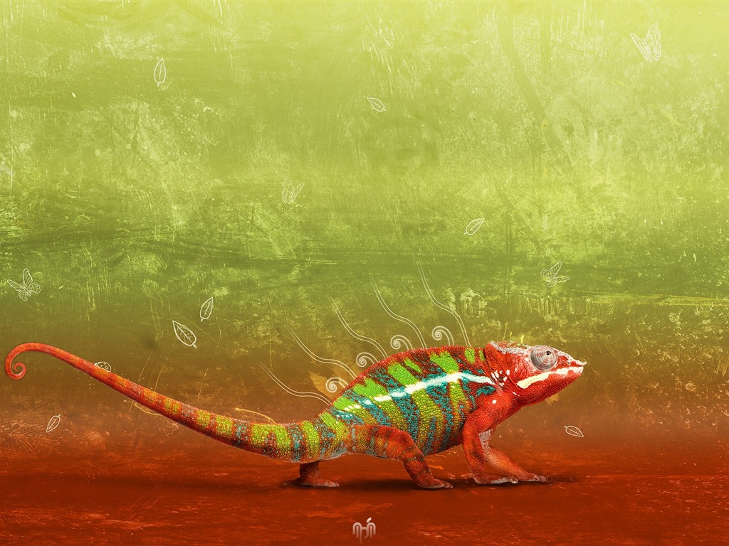 Barevné zvířat chameleon HD tapety na plochu #5 - 1024x768