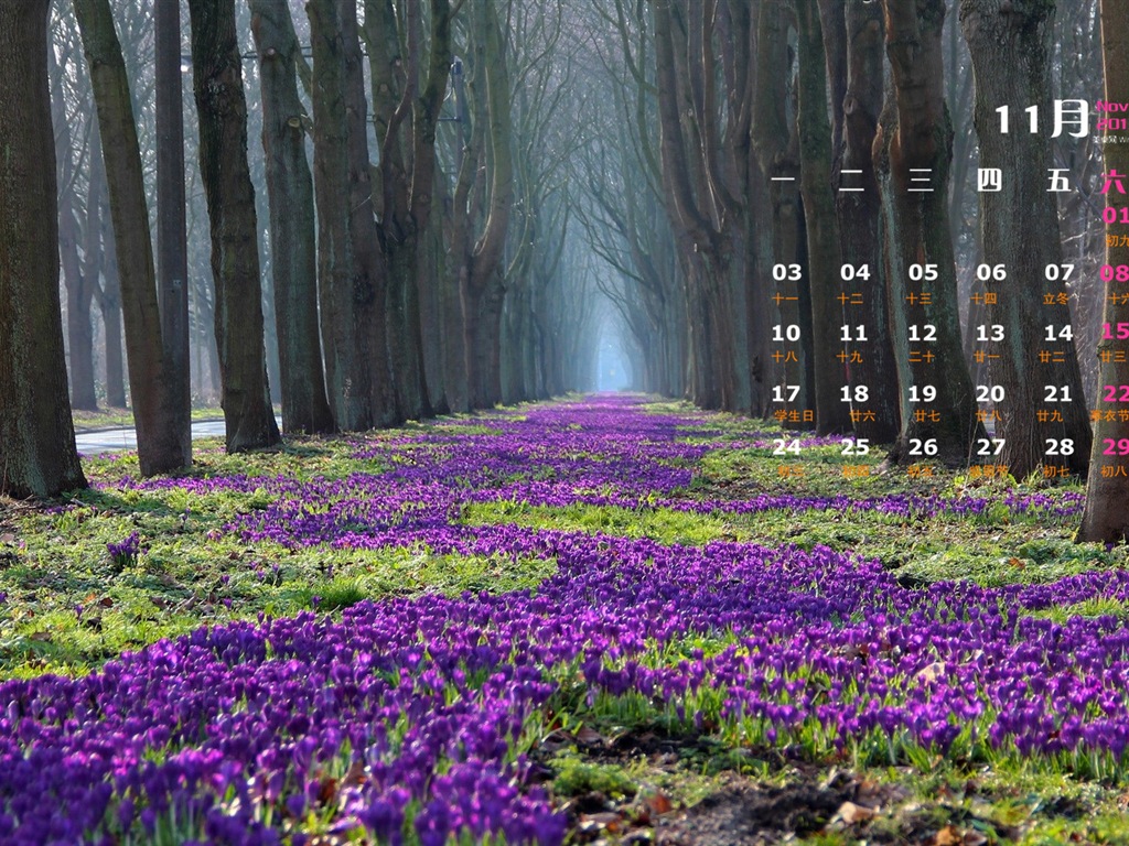 2014年11月 月曆壁紙(一) #3 - 1024x768