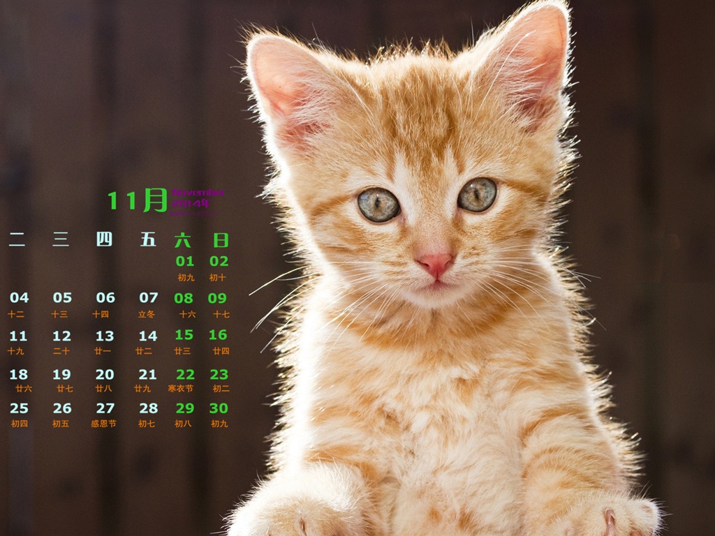 November 2014 Calendar wallpaper(1) #5 - 1024x768