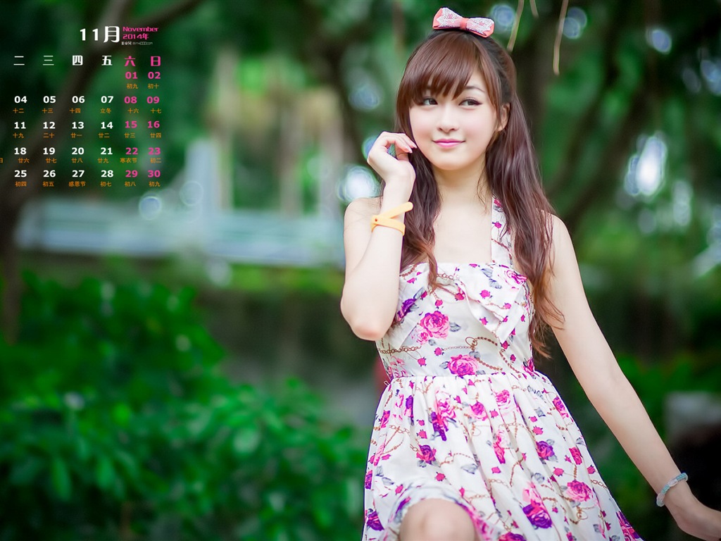 November 2014 Calendar wallpaper(1) #10 - 1024x768