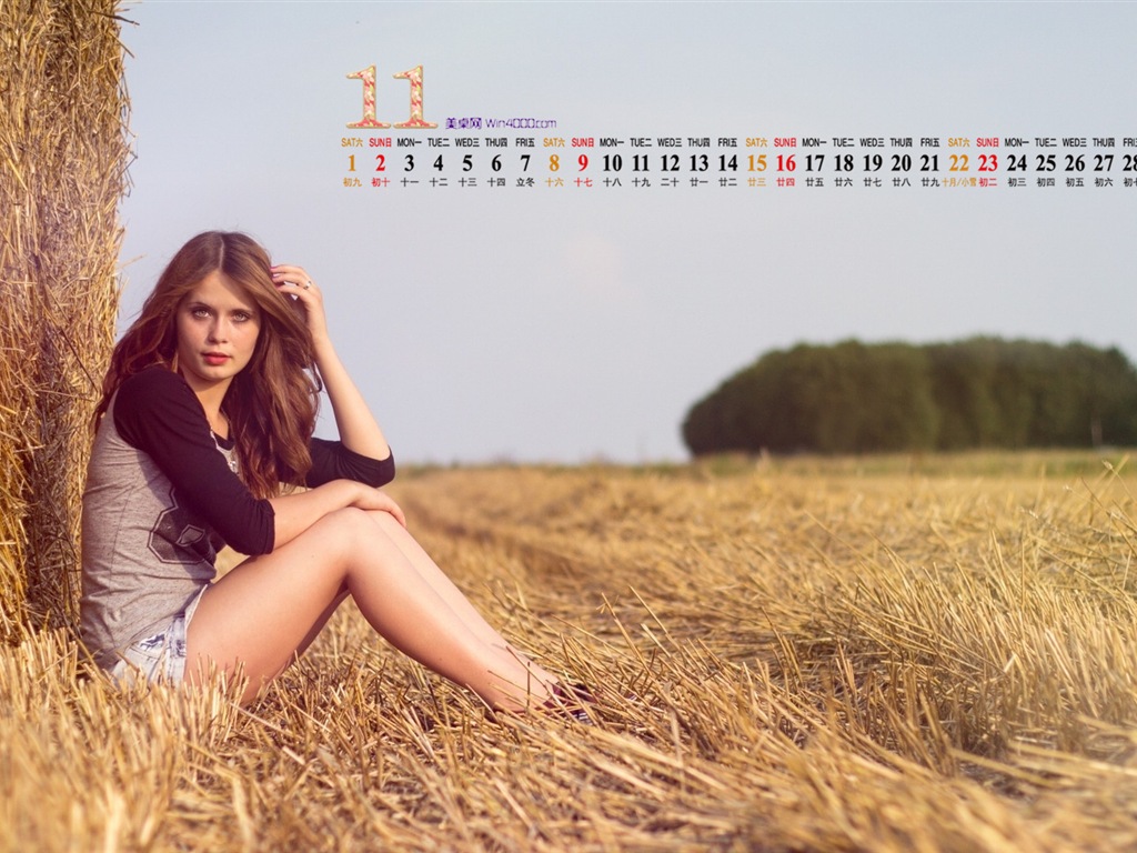 2014年11月 月曆壁紙(一) #15 - 1024x768