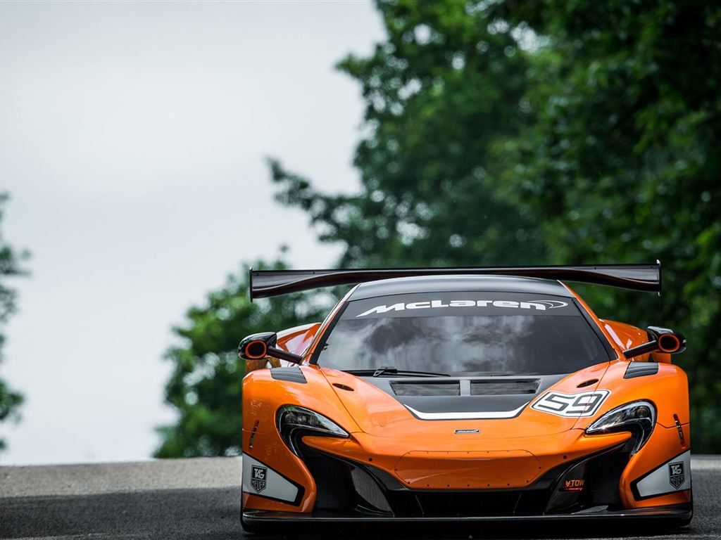 2015邁凱倫650S GT3 超級跑車高清壁紙 #2 - 1024x768