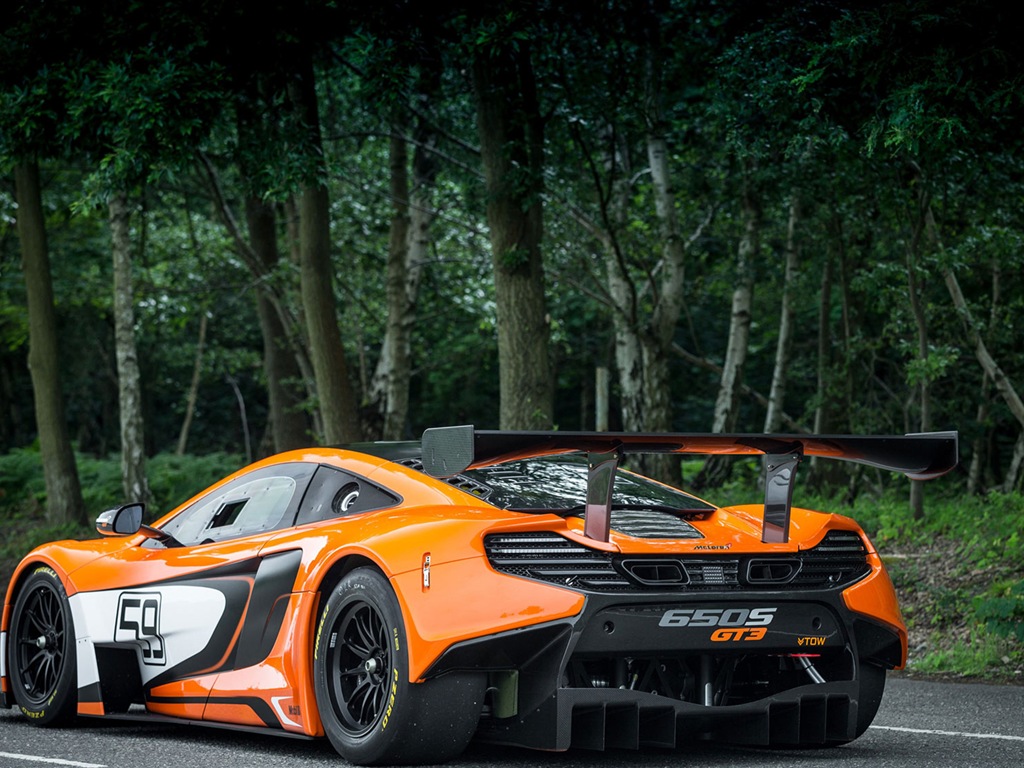 2015迈凯伦650S GT3 超级跑车高清壁纸5 - 1024x768