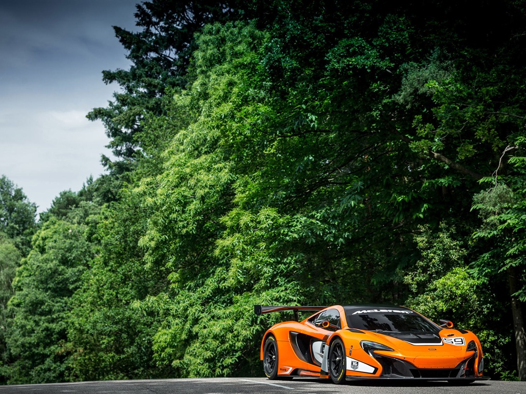2015邁凱倫650S GT3 超級跑車高清壁紙 #7 - 1024x768