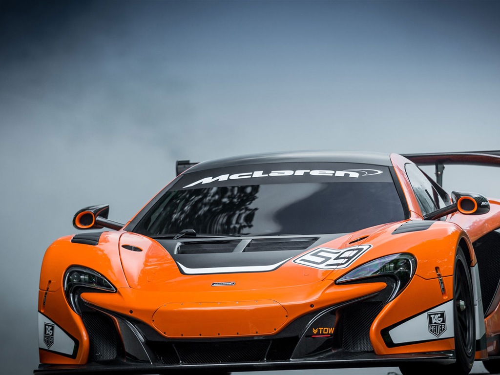 2015邁凱倫650S GT3 超級跑車高清壁紙 #8 - 1024x768