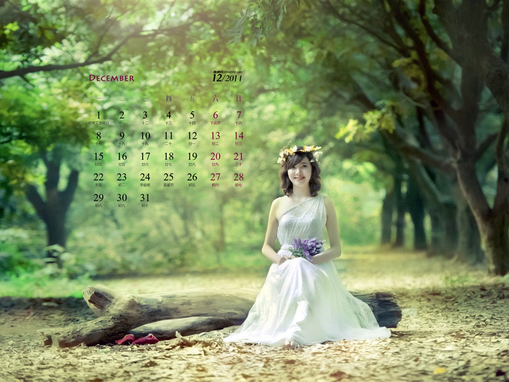 December 2014 Calendar wallpaper (1) #5 - 1024x768