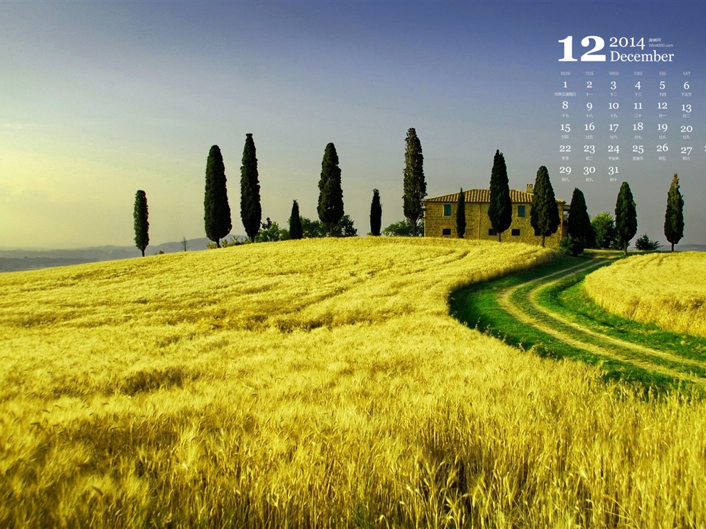 December 2014 Calendar wallpaper (1) #9 - 1024x768