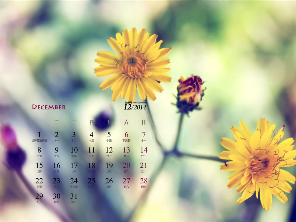 December 2014 Calendar wallpaper (1) #10 - 1024x768