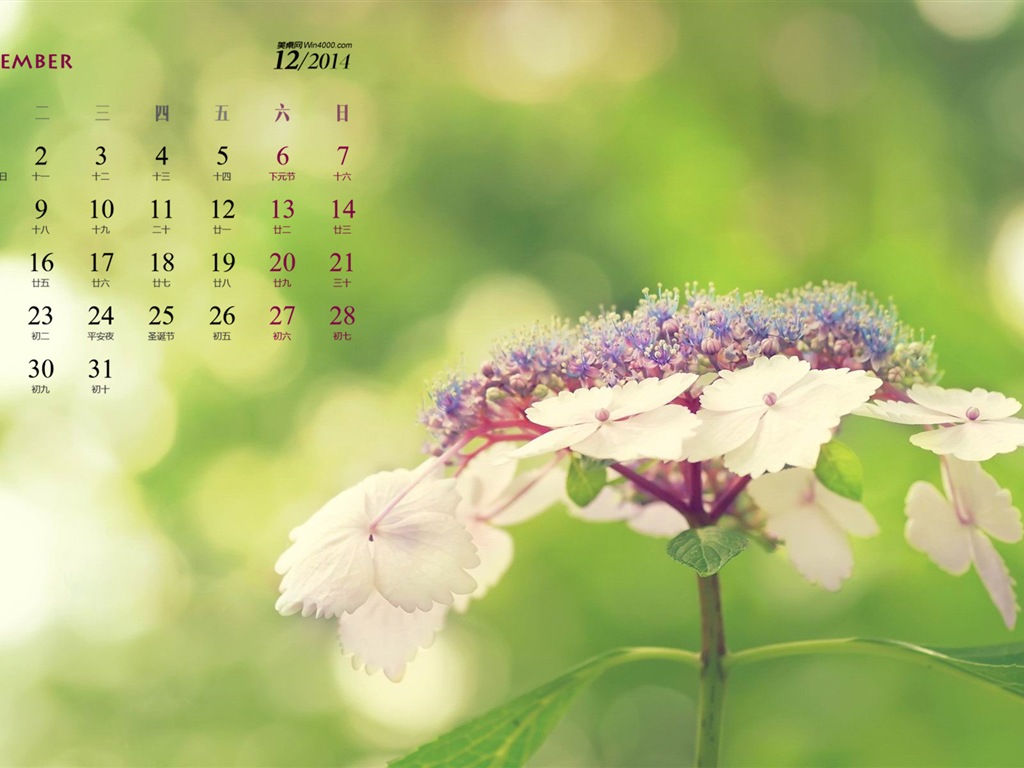 December 2014 Calendar wallpaper (1) #12 - 1024x768