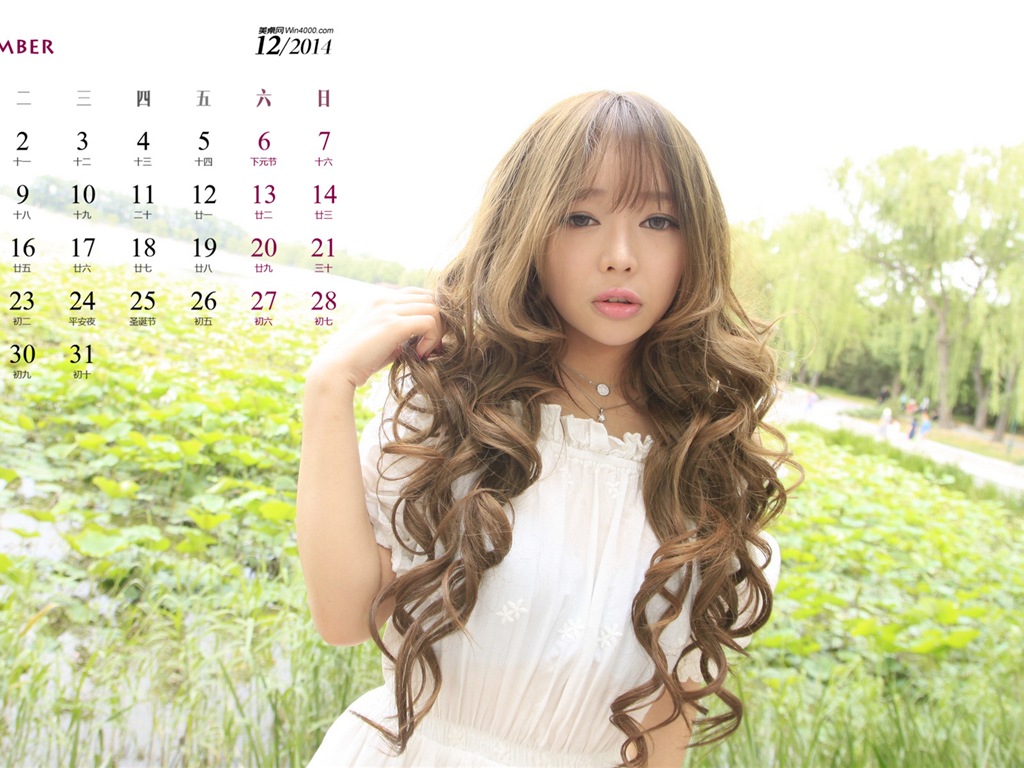 December 2014 Calendar wallpaper (1) #13 - 1024x768