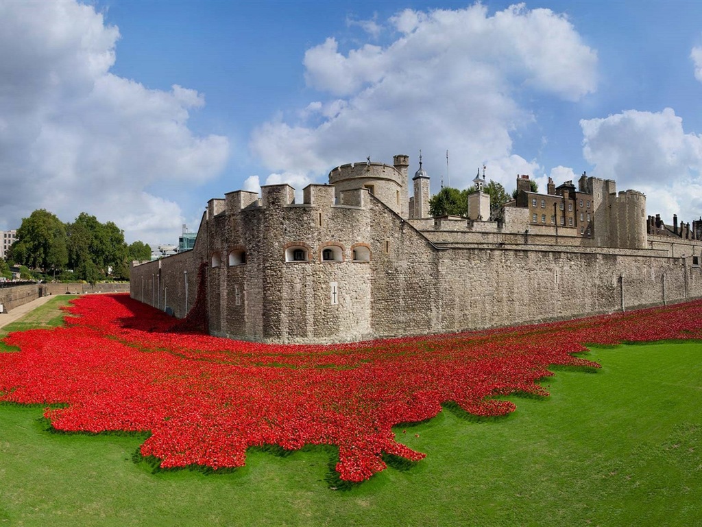 November 2014 Bing landscape wallpapers #11 - 1024x768