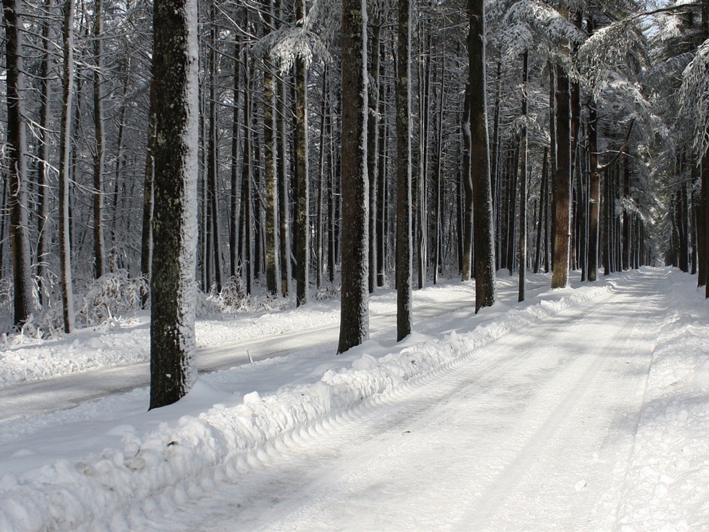 Zima, sníh, hory, jezera, stromy, silnice HD tapety na plochu #3 - 1024x768