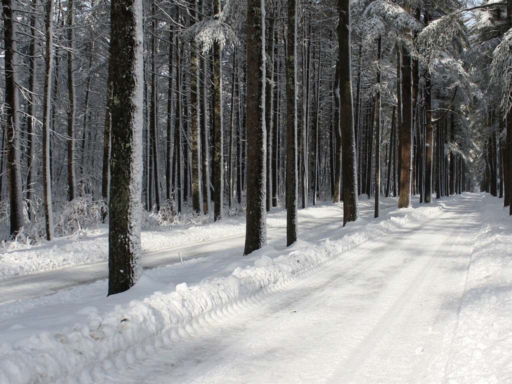 冬天的雪景，山，湖，樹木，道路高清壁紙 #3 - 1024x768