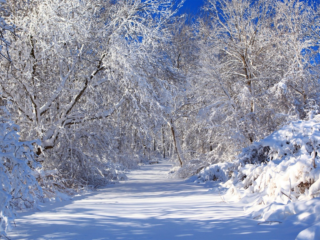 冬天的雪景，山，湖，樹木，道路高清壁紙 #5 - 1024x768