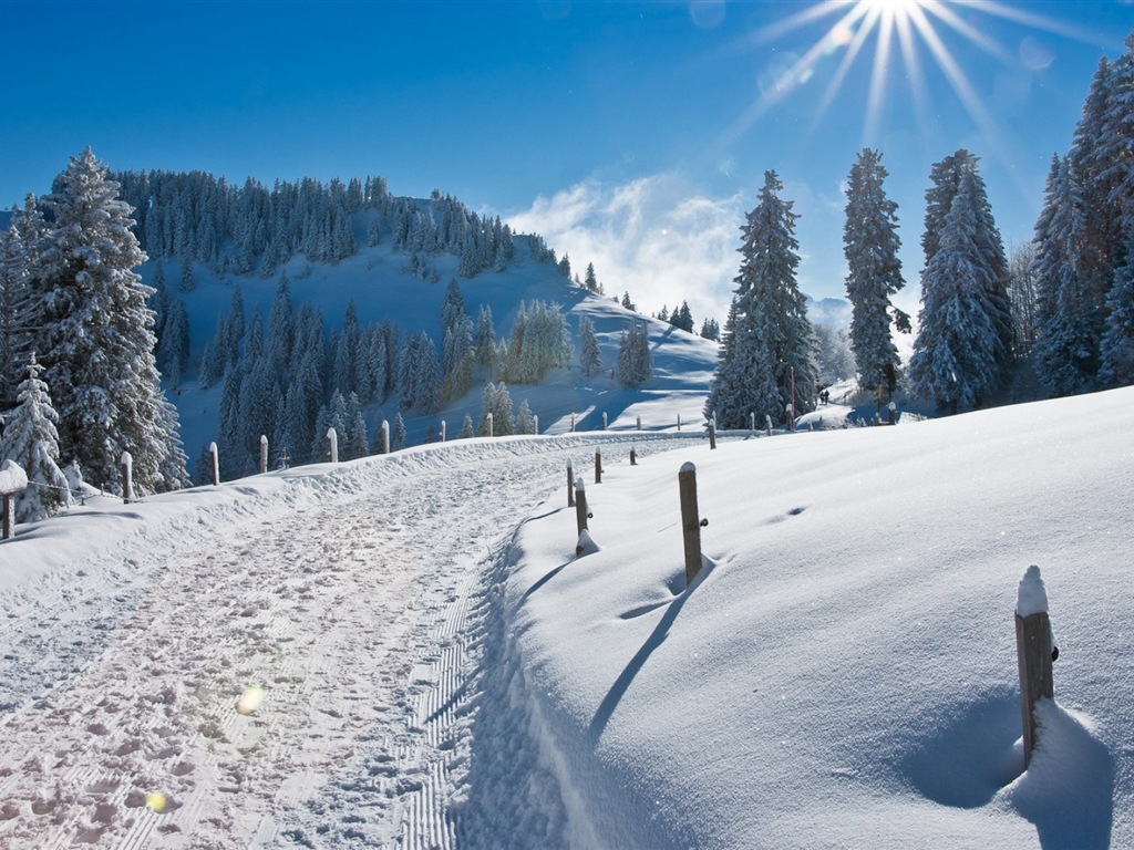 冬天的雪景，山，湖，树木，道路 高清壁纸6 - 1024x768