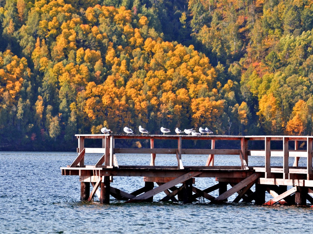 贝加尔湖 俄罗斯风景 高清壁纸7 - 1024x768