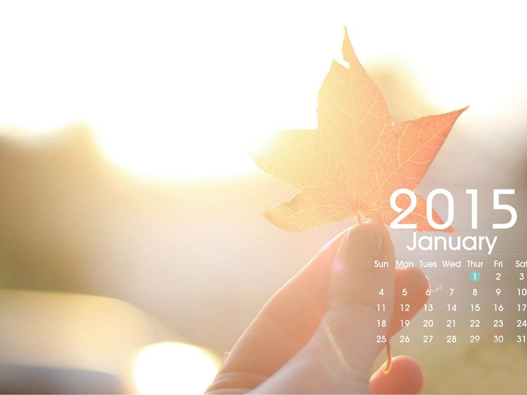 Kalender 2015 HD Wallpaper #23 - 1024x768