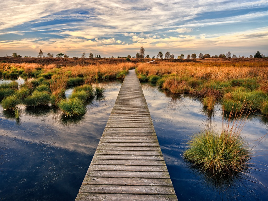 Lake and boardwalk dusk views HD wallpapers #1 - 1024x768