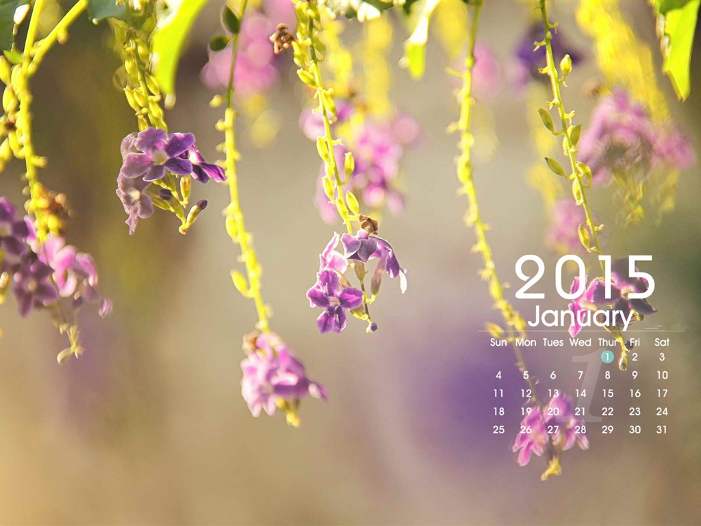 January 2015 calendar wallpaper (1) #1 - 1024x768