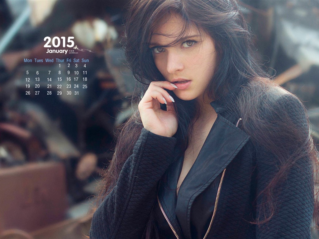 January 2015 calendar wallpaper (1) #3 - 1024x768