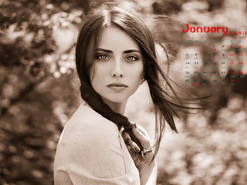 Janvier 2015 calendar fond d'écran (1) #4 - 1024x768