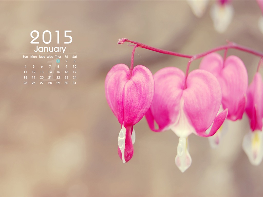 2015年1月 月曆壁紙(一) #9 - 1024x768