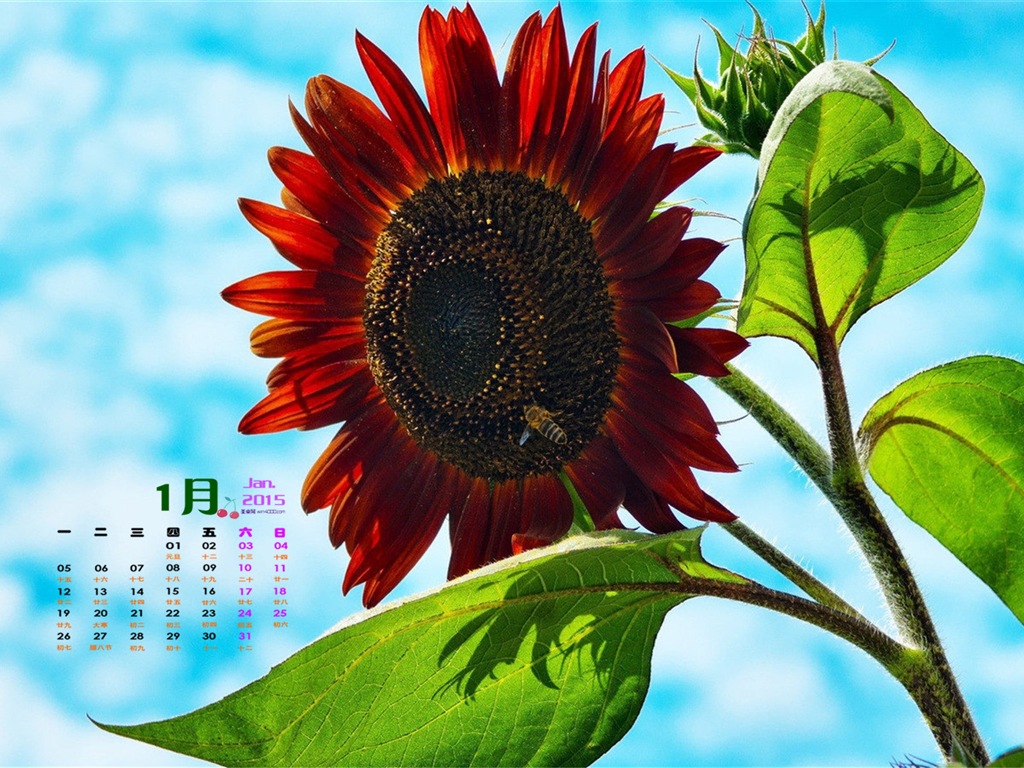Janvier 2015 calendar fond d'écran (1) #14 - 1024x768
