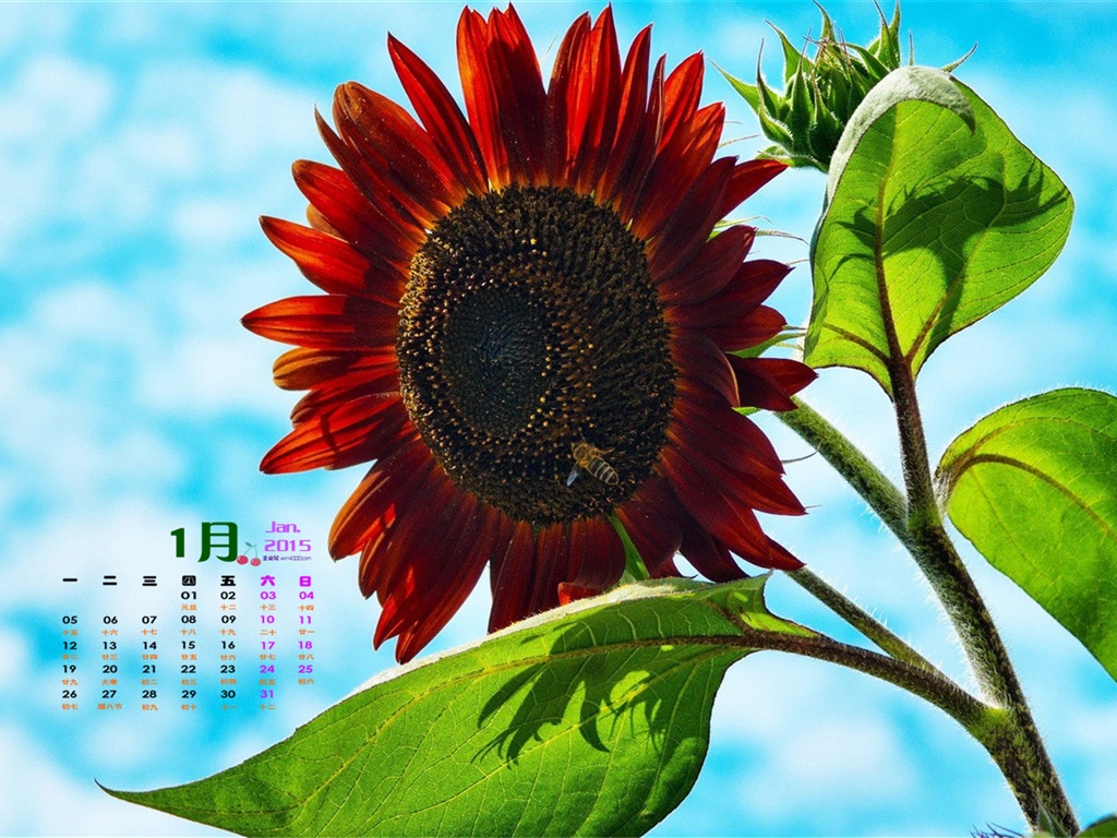 January 2015 calendar wallpaper (1) #14 - 1024x768